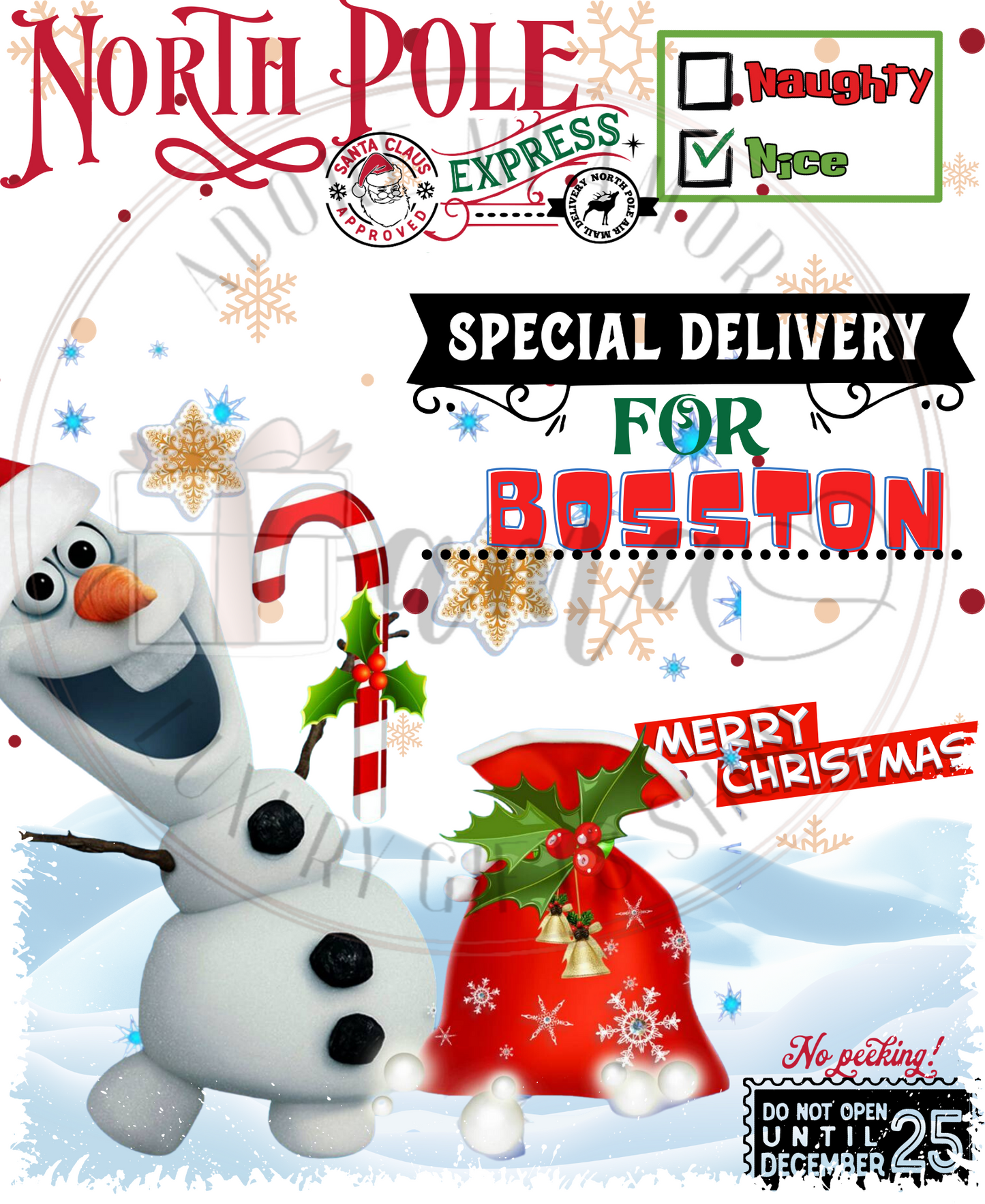 Character Santa Sack