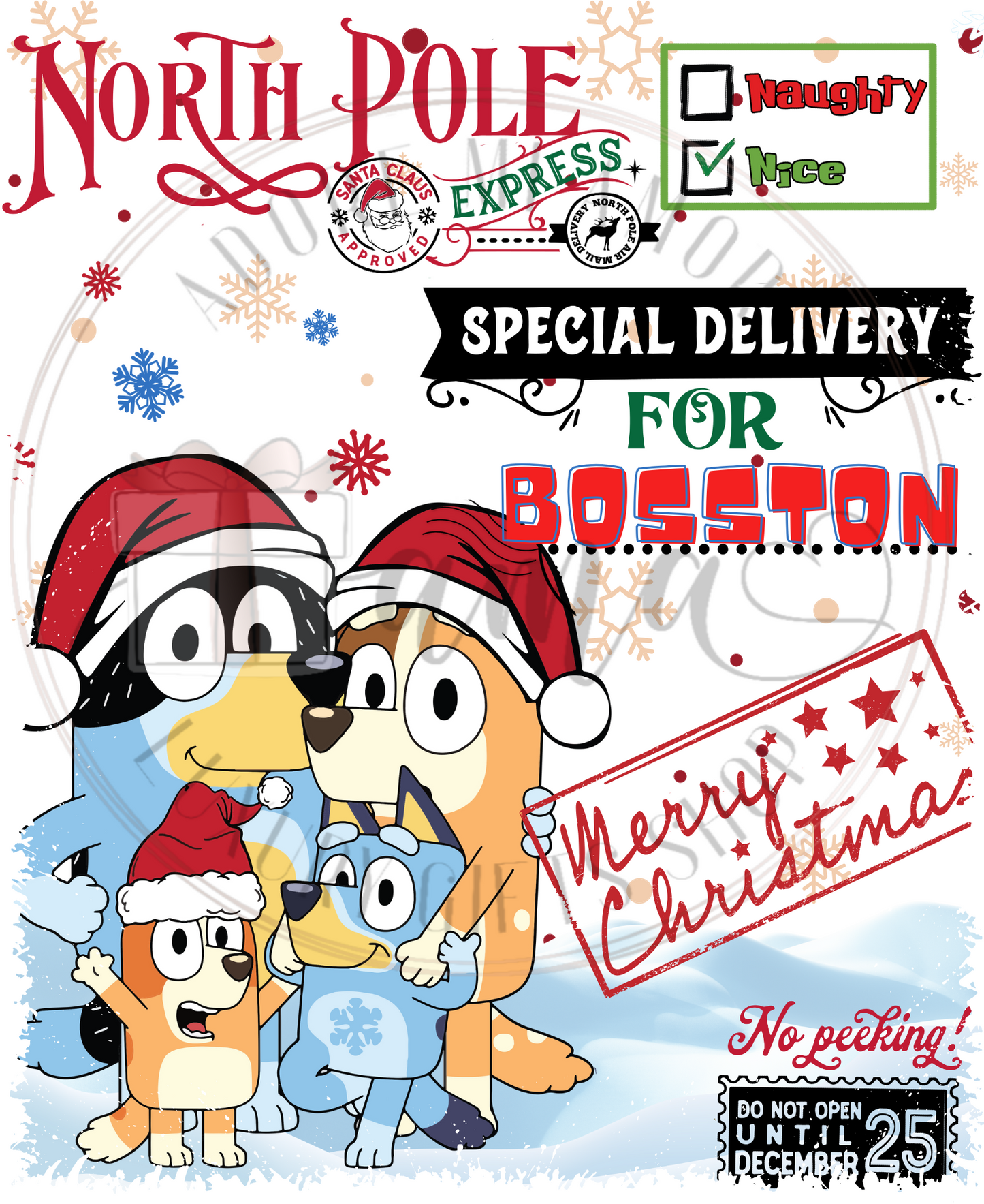 Character Santa Sack