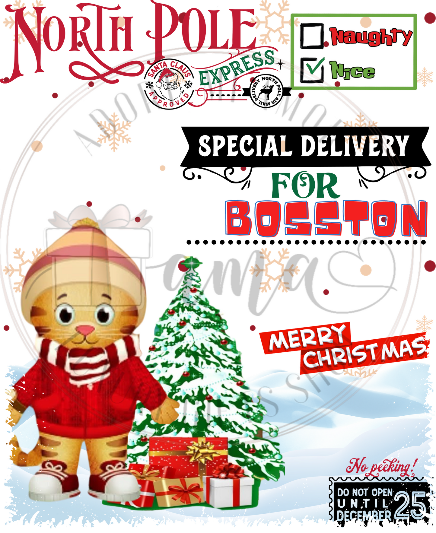 Character Santa Sack