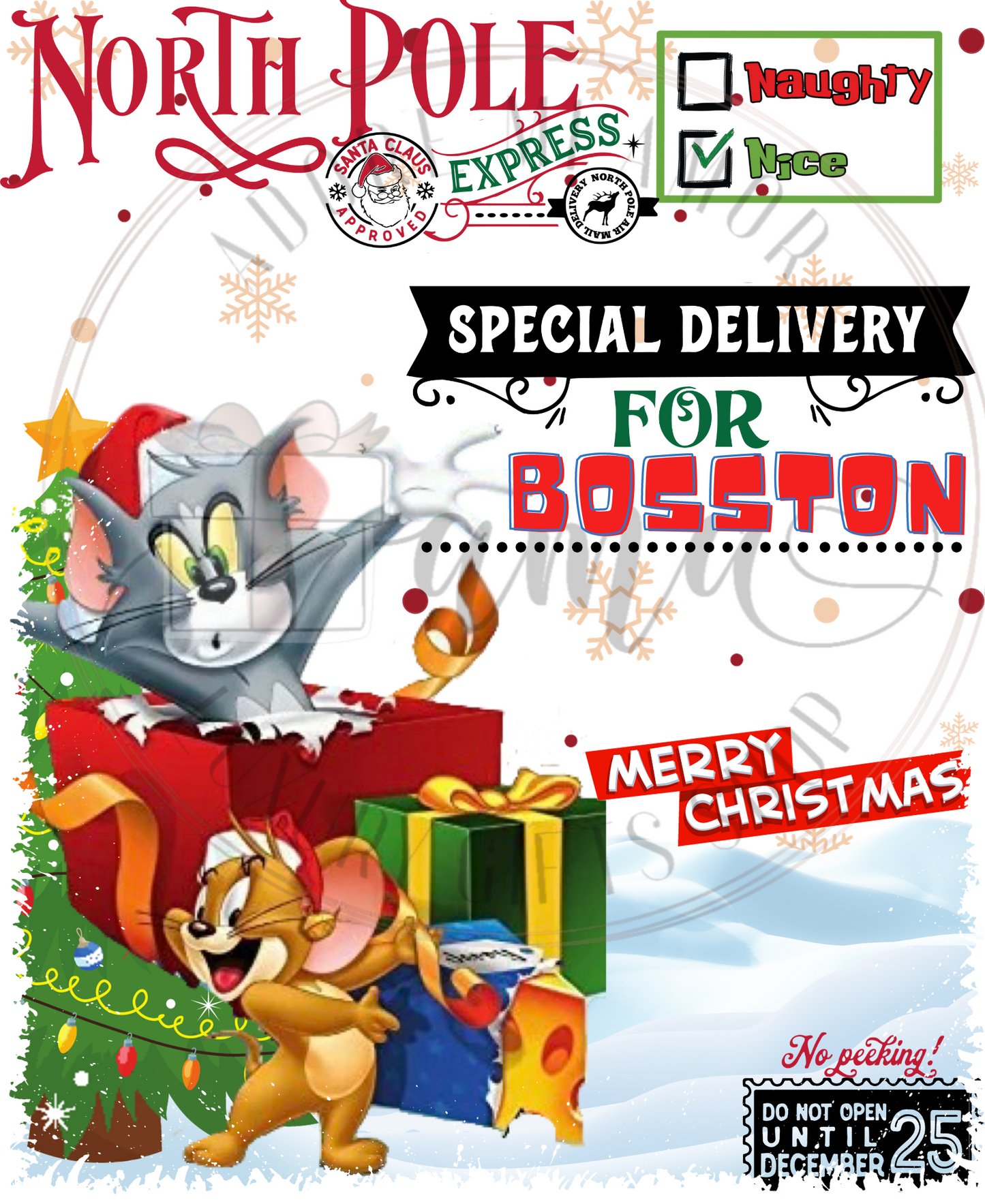 Character Santa Sack