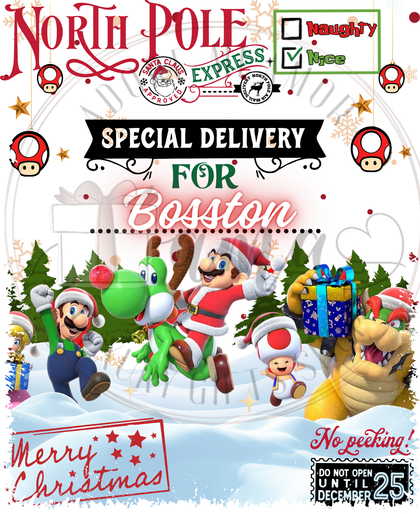 Character Santa Sack