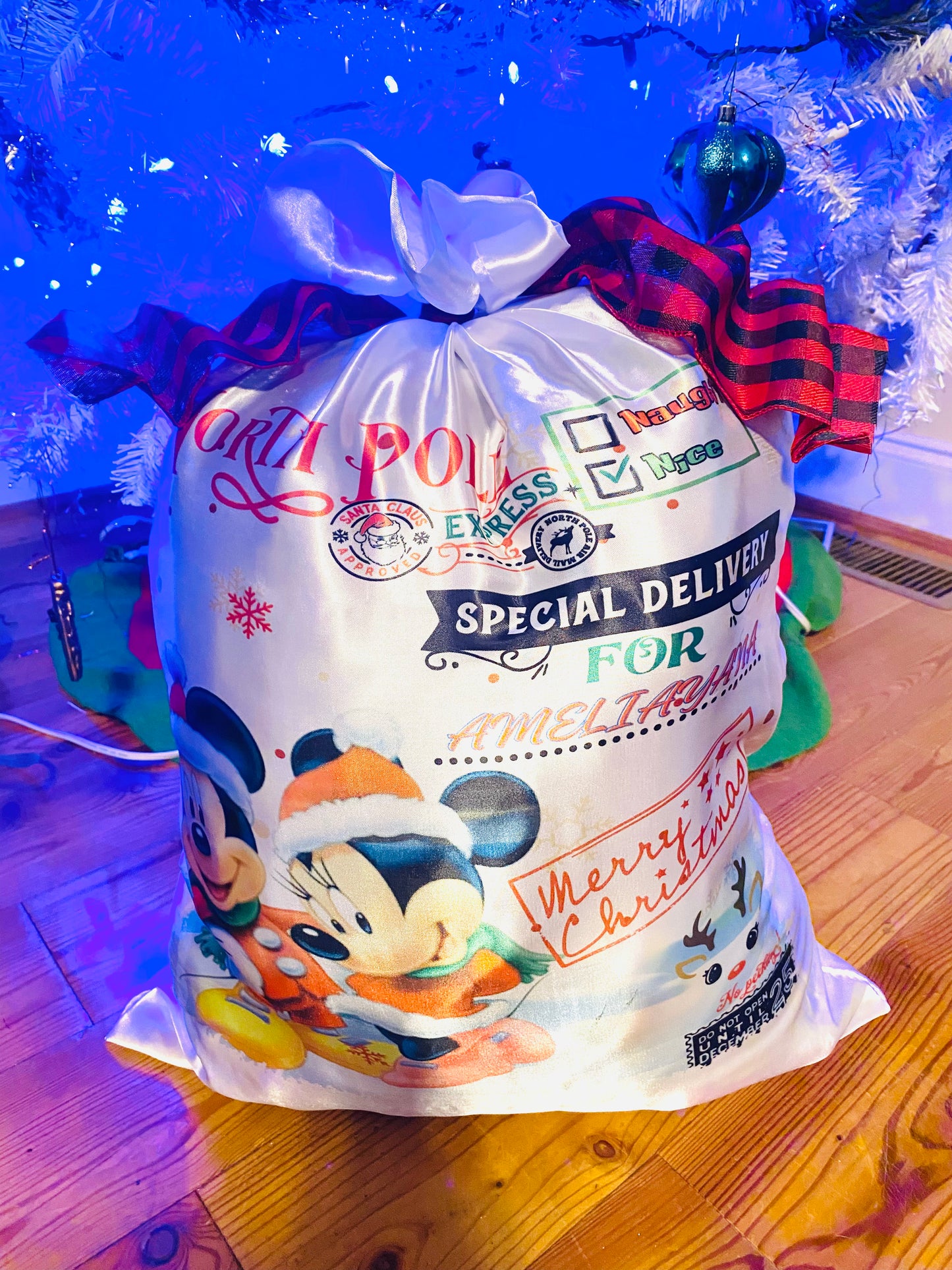 Character Santa Sack