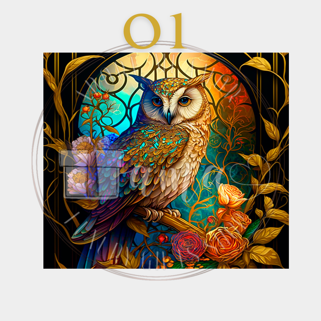Owls are the Best
