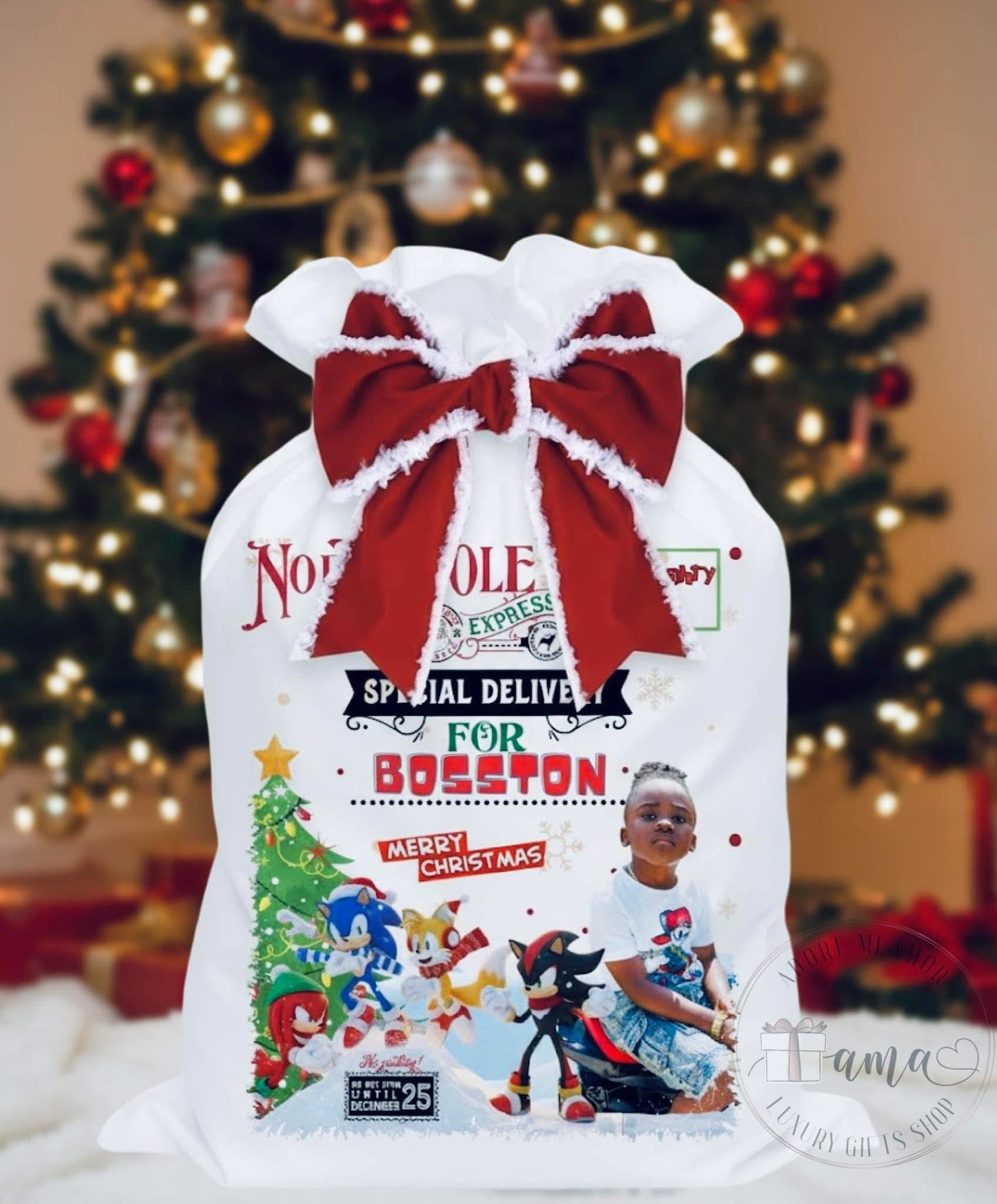 Character Santa Sack