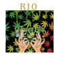 420 Tumblers
